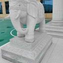 鸡西 白麻花岗岩动物异形石雕-大象