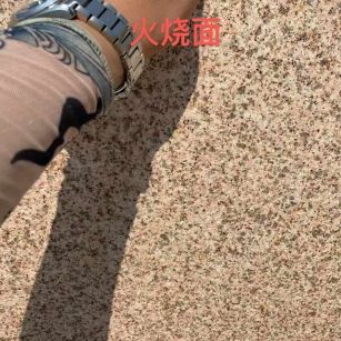 鸡西黄金麻火烧面